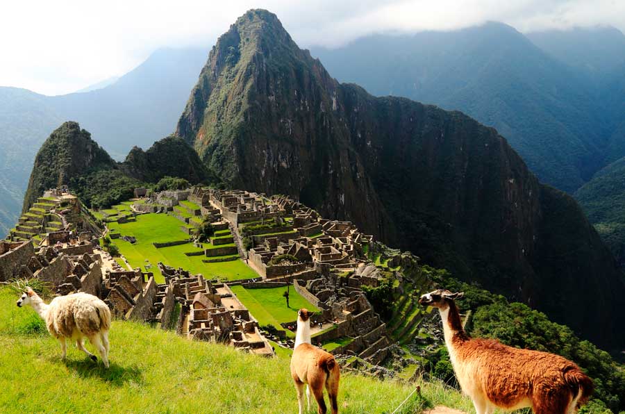 Machu Picchu