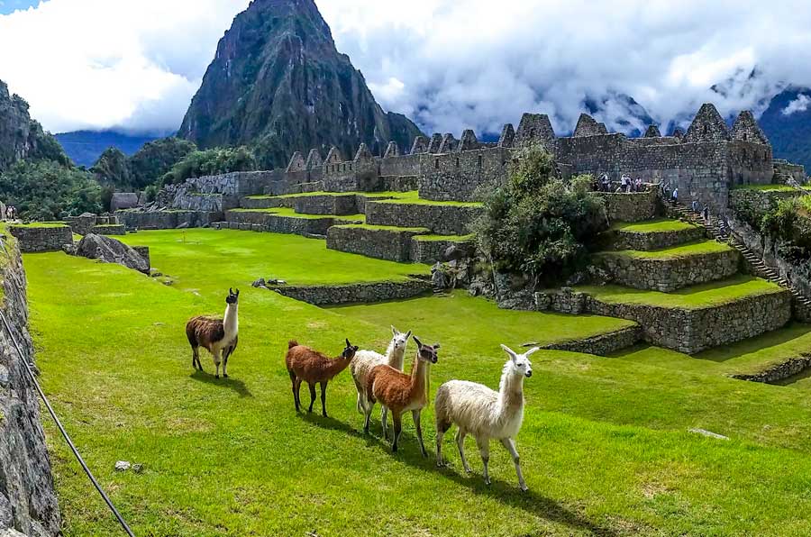 Machu Picchu desde Lima