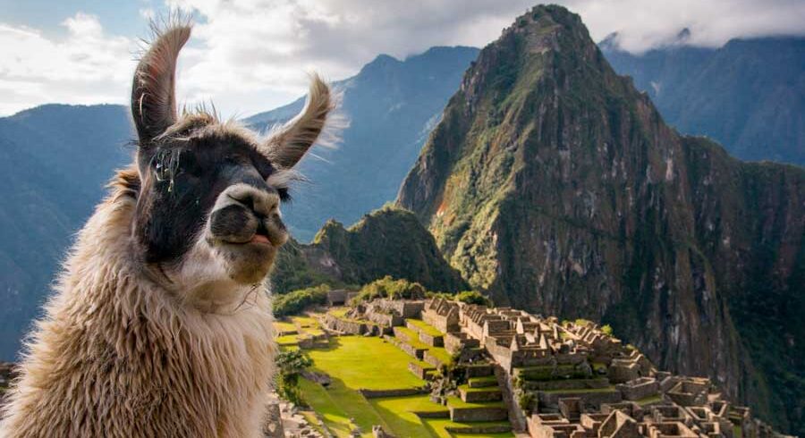Machu Picchu Full Day