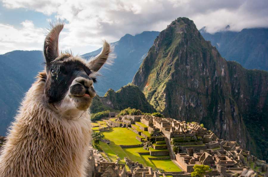 Machu Picchu Full Day