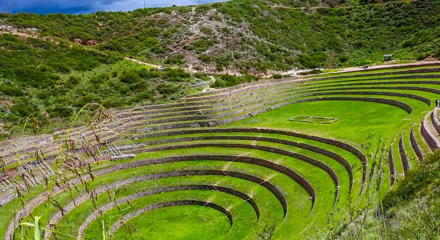 Maras Moray